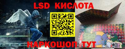 гашик Моздок