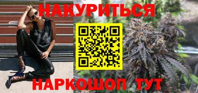 гашик Моздок