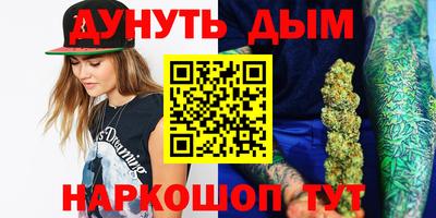 гашик Моздок