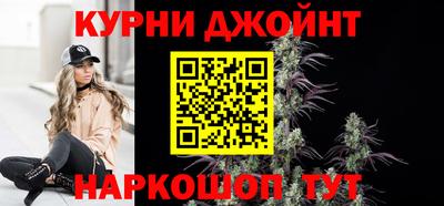 гашик Моздок