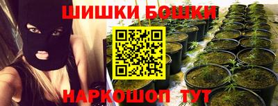 гашик Моздок