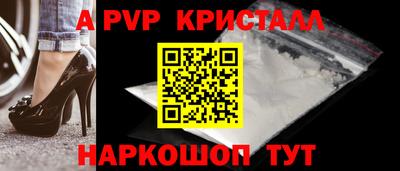 гашик Моздок