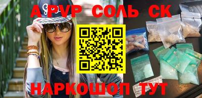 гашик Моздок
