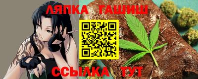 гашик Моздок