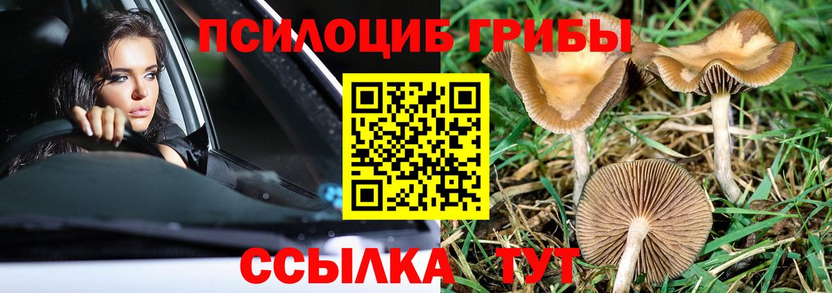 Фролово  Галлюциногенные грибы Magic Shrooms  Псилоцибиновые грибы Cubensis  Вход с VPN 